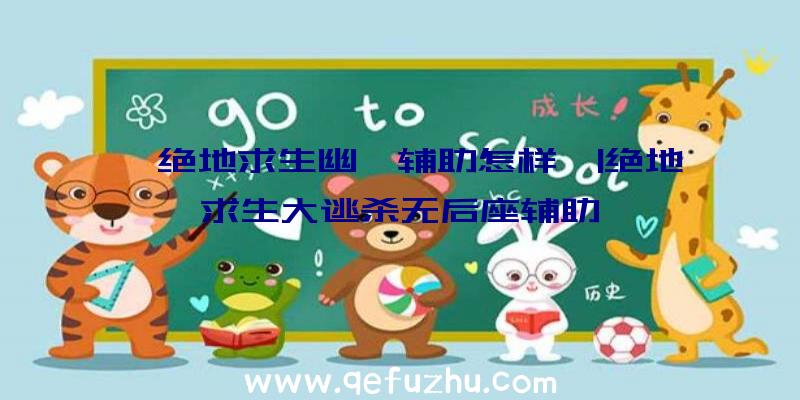 「绝地求生幽冥辅助怎样」|绝地求生大逃杀无后座辅助